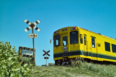 railroad cossing in isumi line