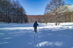 mt.yunomaruyama at 9:13 Jan,16 2026