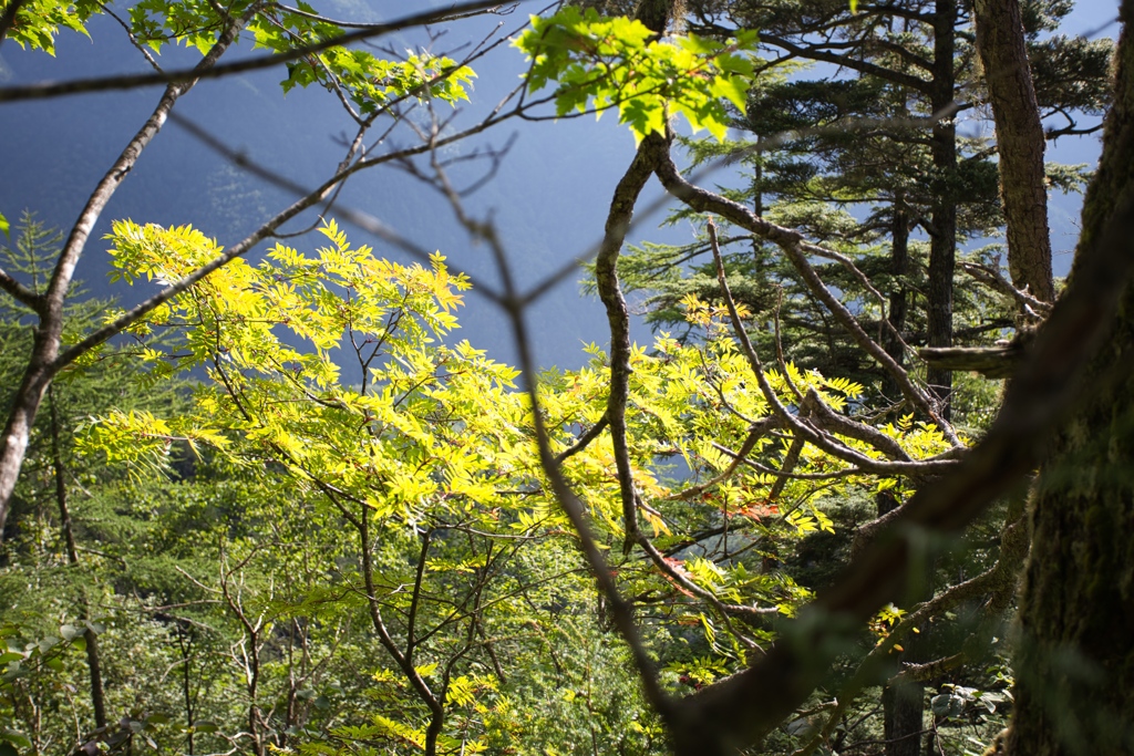 mt.tsubakuro Aug,23~25 2024 03