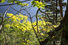 mt.tsubakuro Aug,23~25 2024 03