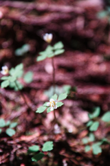 mt.tsukuba at 9:07 Apr,19 2025