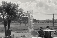 lavender land at sakura city