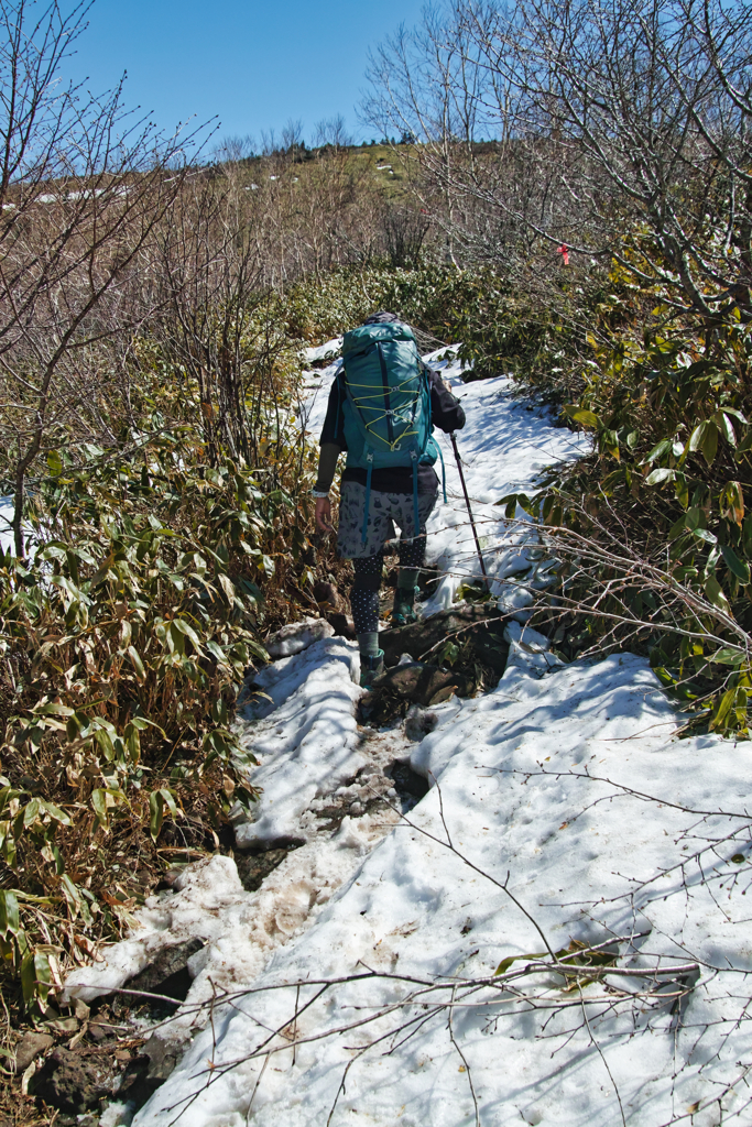 mt.nekodake at 9:40 May,3 2025(SDQ)