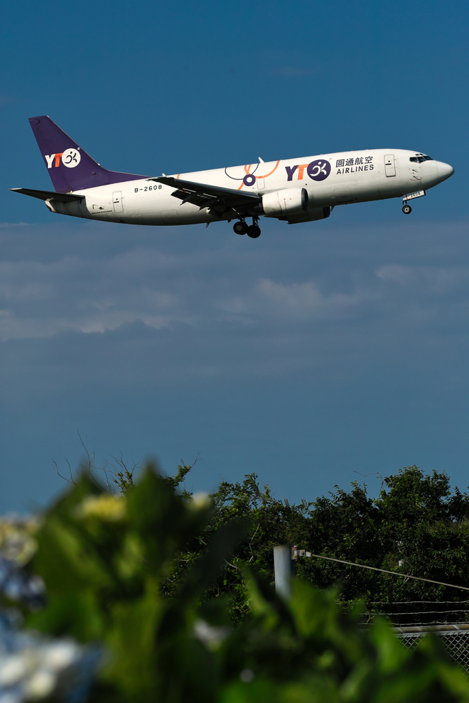 YT airlines