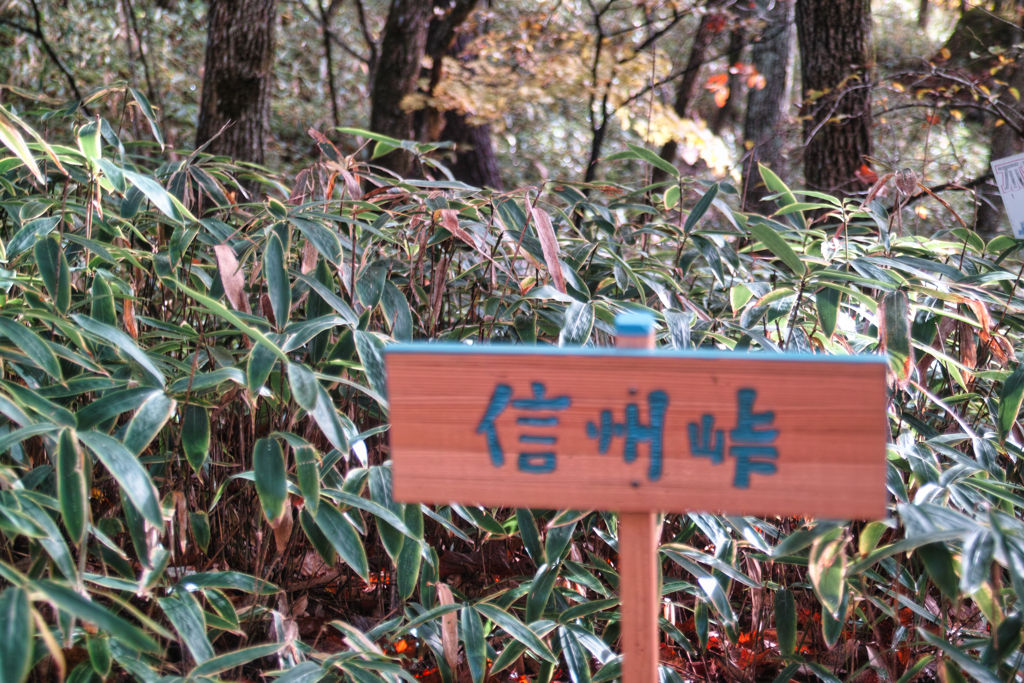 Shinsyuu pass at 9:07 Nov,01 2025