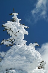 mt.kitayokodake at 10:57 Feb,21 2025