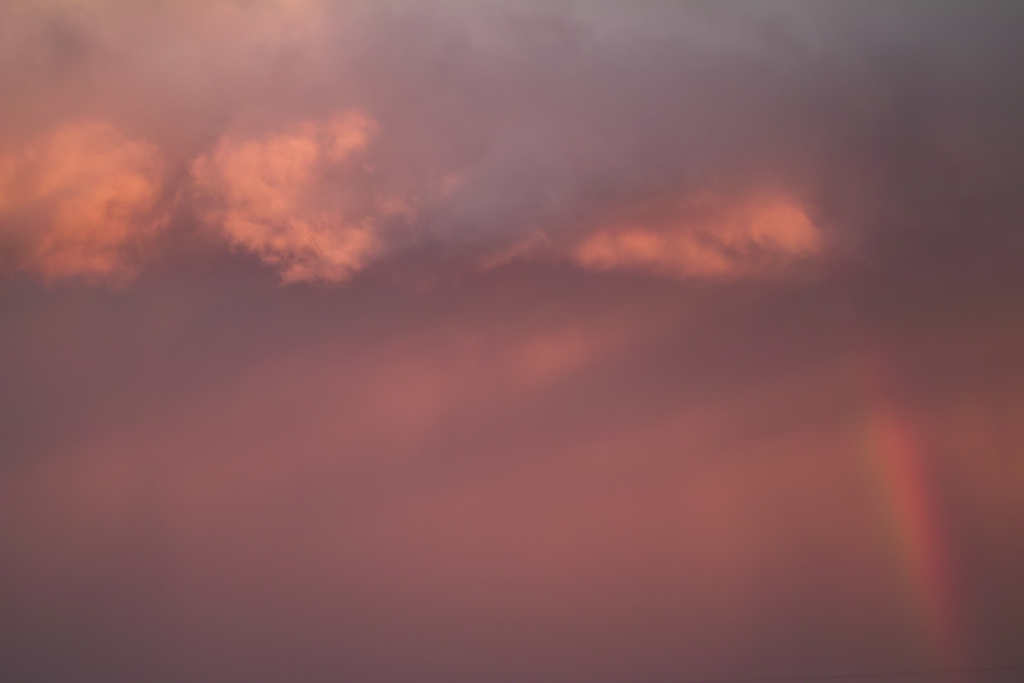 rainbow4 at home on 2,May 2021