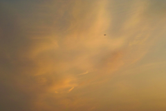airplaine & sunset sky