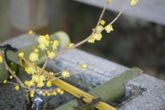 Ikaho spa at 15:46 Mar,14 2025