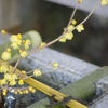 Ikaho spa at 15:46 Mar,14 2025