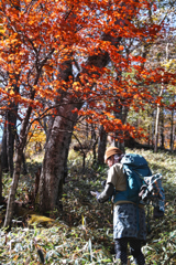 mt.yokoosan at 12:15 Nov,1 2025