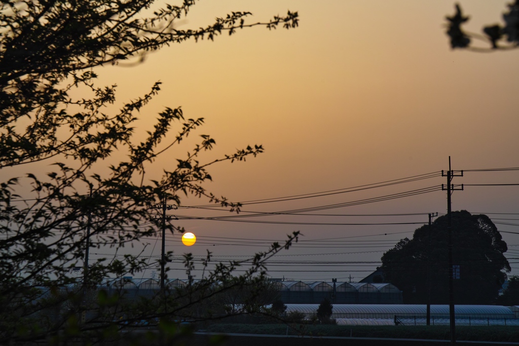eary morning at home