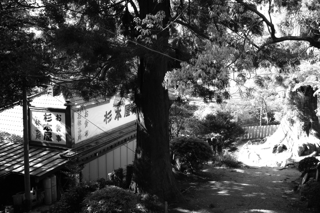 筑波山by DP2 Merrill