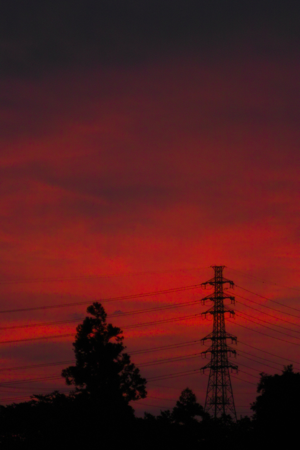 sunrise&set special feature