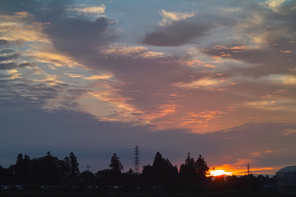 sunrise by industar 50-2 50mm f3.5