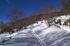 mt.yunomaruyama at 9:50 Jan,16 2026
