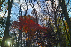 hapougahara in tochigi pref.