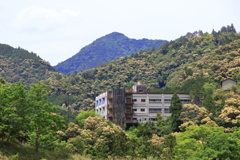 埋もるる旧小学校