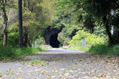 五新鉄道廃線路