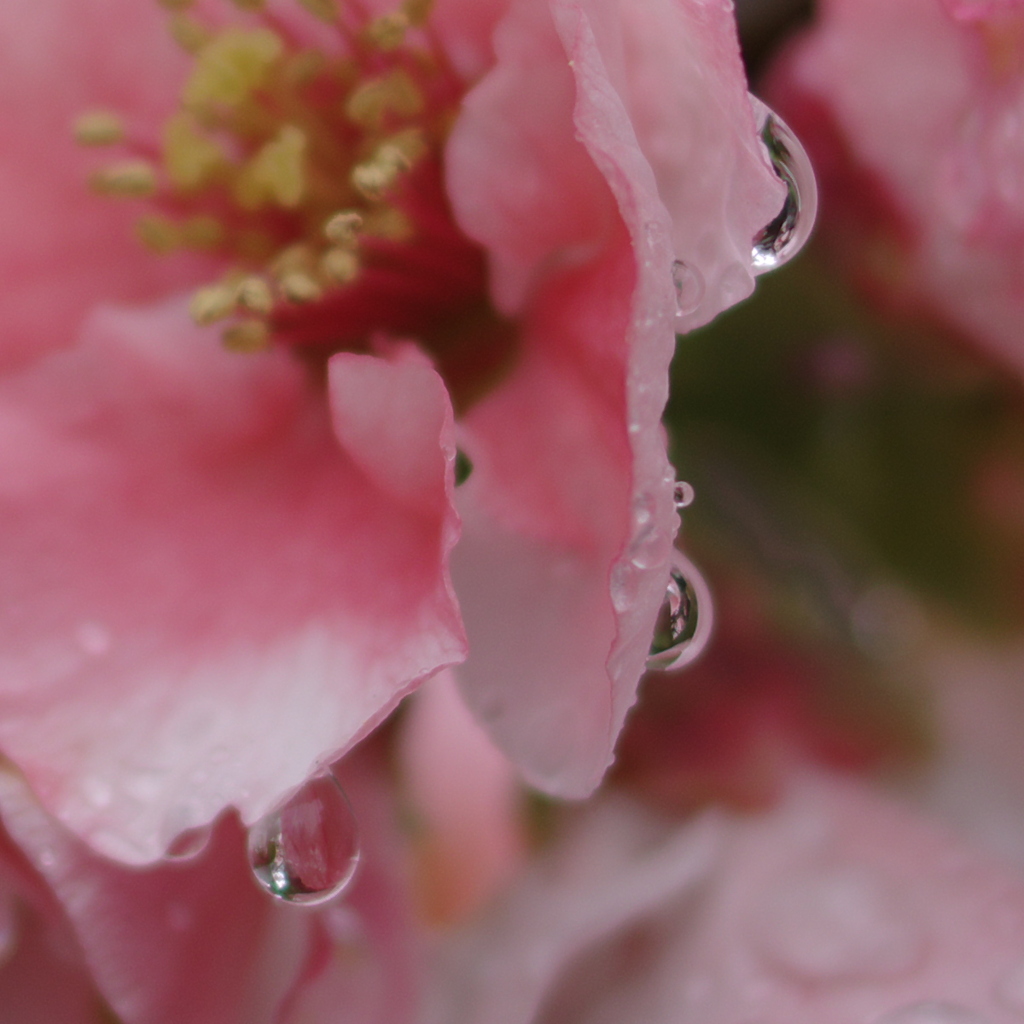 恵みの雨