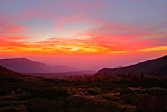 天狗平から富山平野を望む