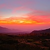 天狗平から富山平野を望む