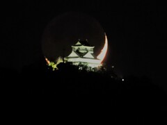 岐阜城に沈んだ三日月
