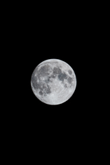 MOOOOON