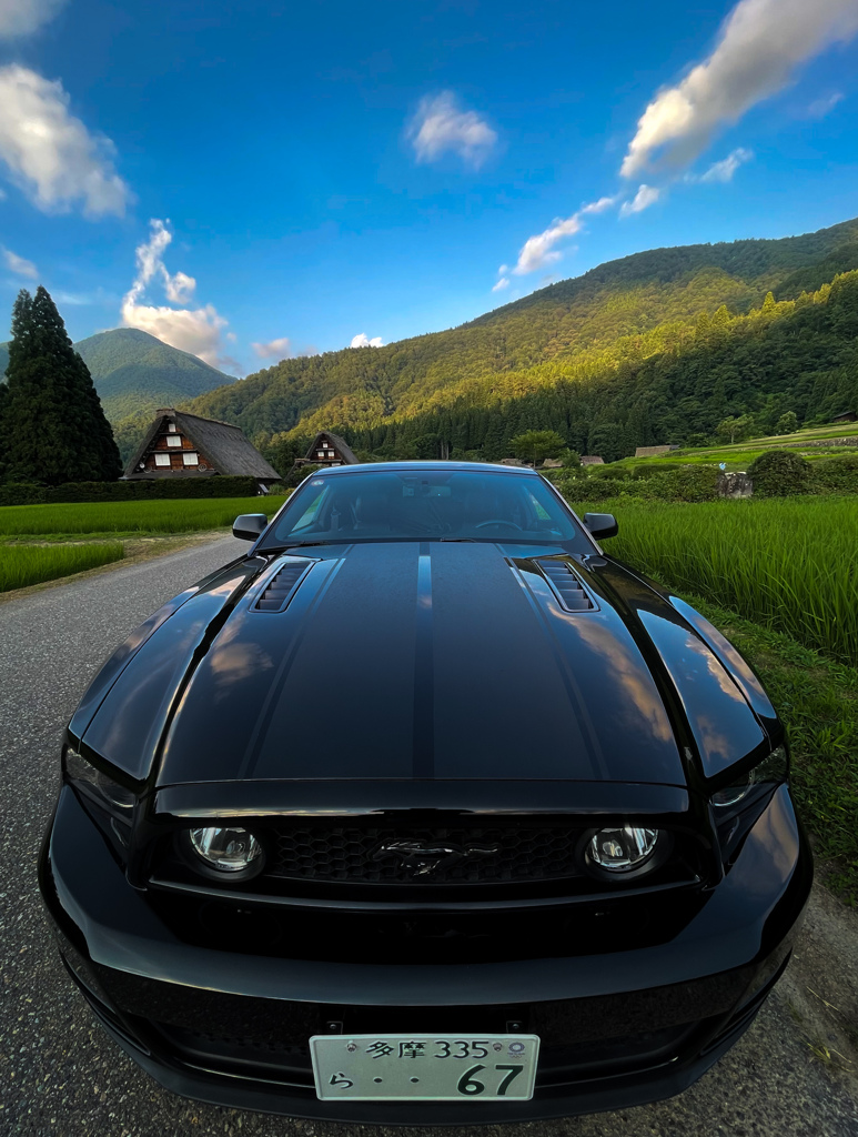 Long nose