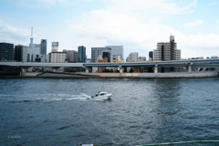 隅田川