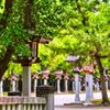 灯籠道