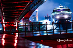 CELEBRITY MILLENNIUM セレブリティ・ミレニアム