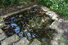 無限に湧き出る神秘の泉
