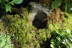 深淵へと続く虚空の縦穴