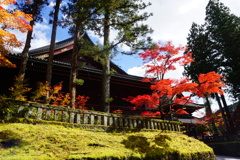 黎明の炎