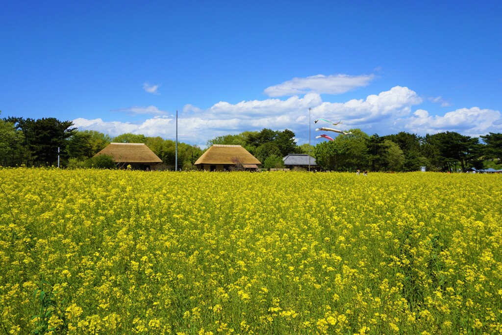 古き良き日本の隠れ里