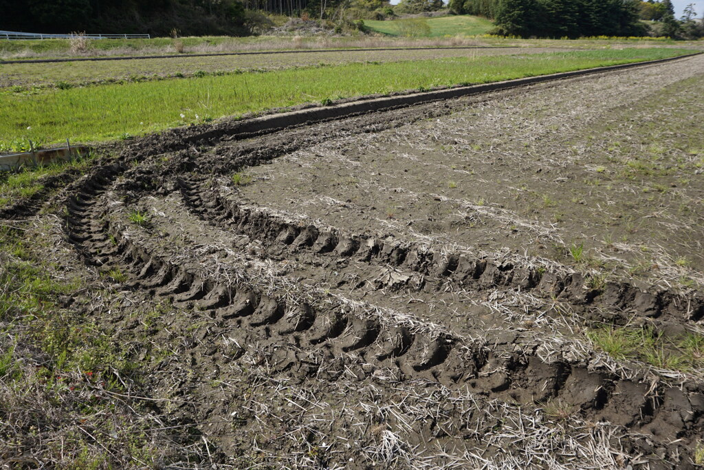 大蛇の通り道