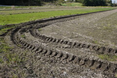 大蛇の通り道