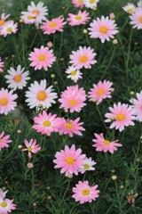 804CA4E5-FA00-49AE-A6A3-F48070AEAD8C