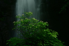 水の神殿