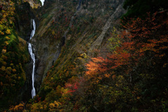 紅葉と称名滝