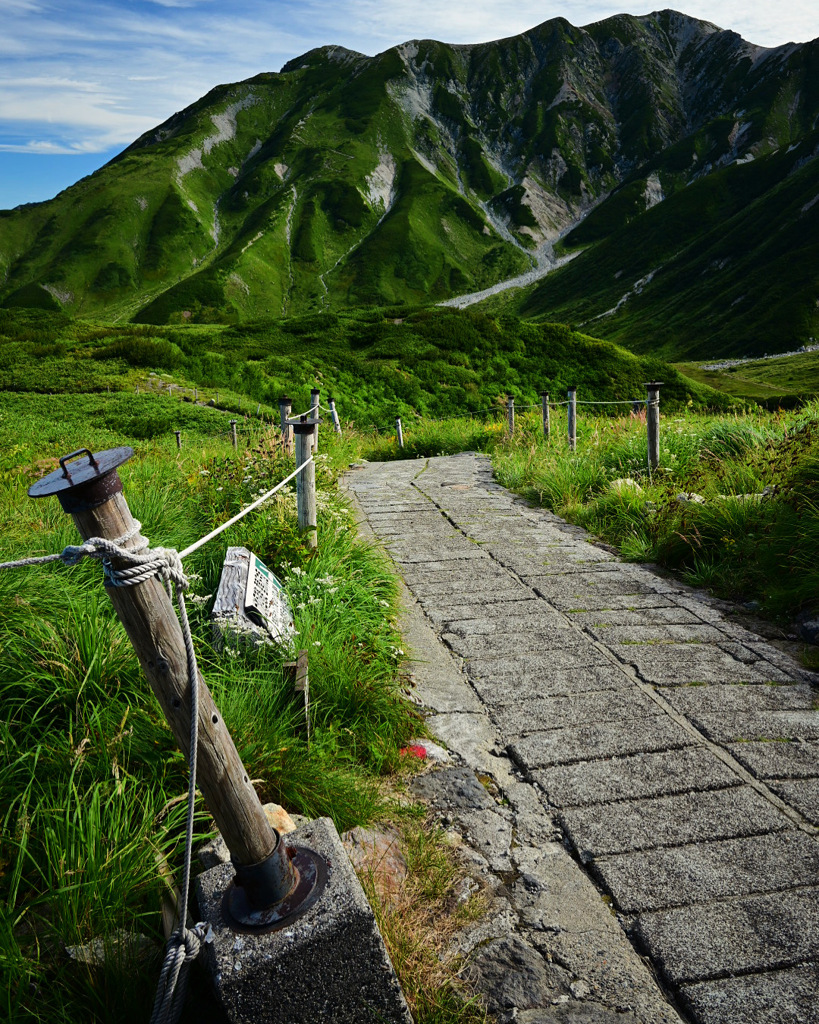 登山道