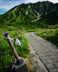 登山道