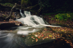 秋の舞い散る滝