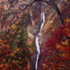 称名滝の秋化粧