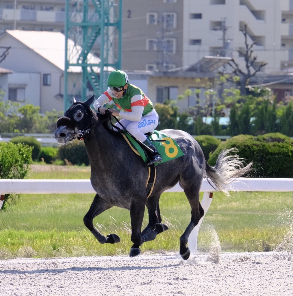 競馬場にて