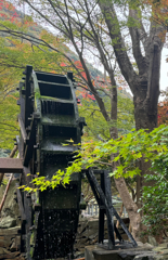 力強く