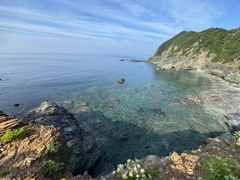 透きとおる海辺で