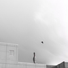 bowlingpin