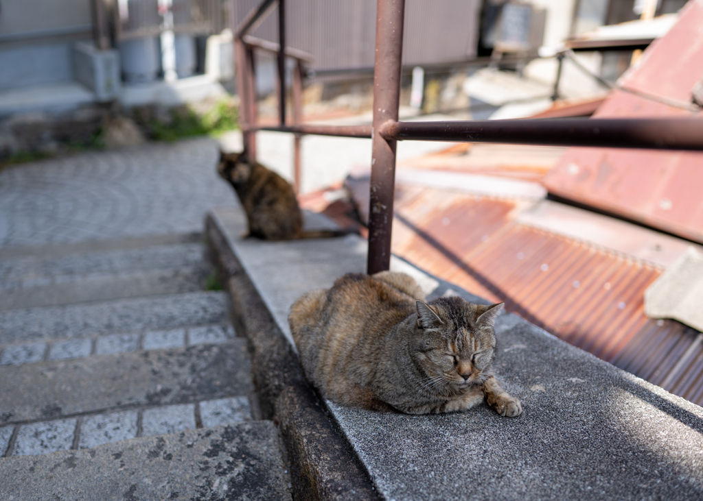 ひと休み